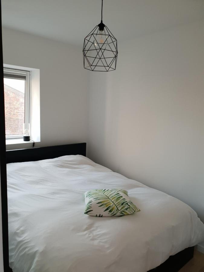 Uitzicht Op Het Mas Apartment Antwerpen Bagian luar foto