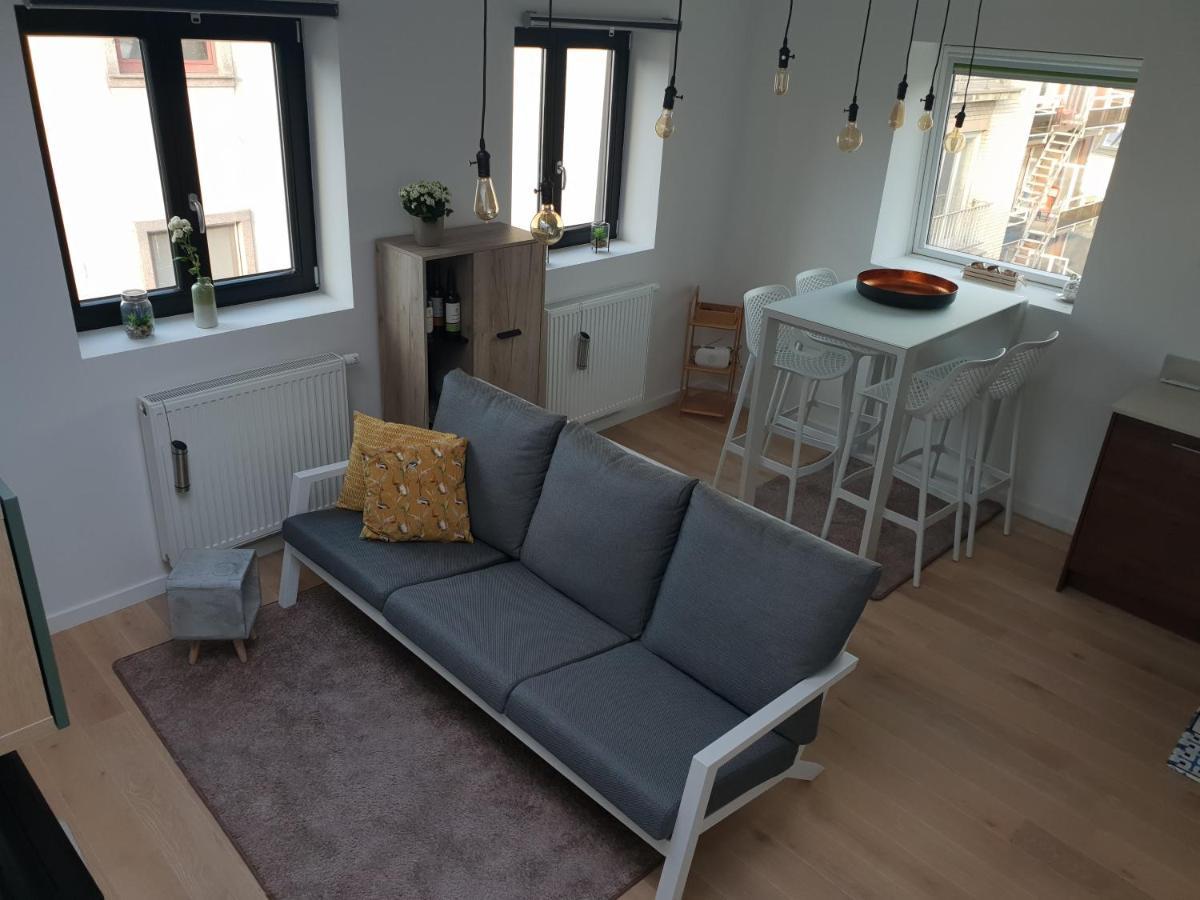 Uitzicht Op Het Mas Apartment Antwerpen Bagian luar foto