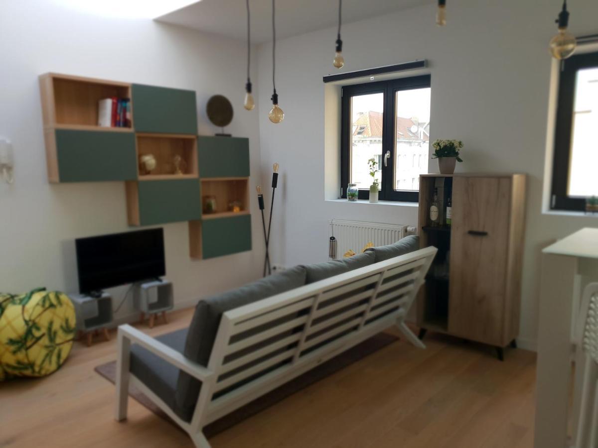 Uitzicht Op Het Mas Apartment Antwerpen Bagian luar foto